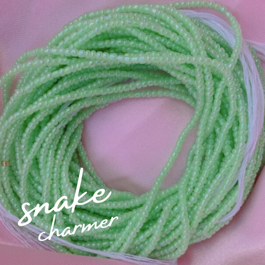 Snake Charmer 🐍  | Pretty Traditional