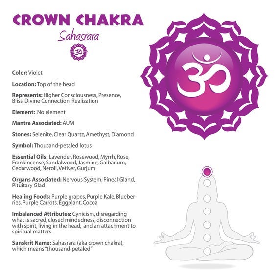 Pretty Purple 🟪  | Chakra