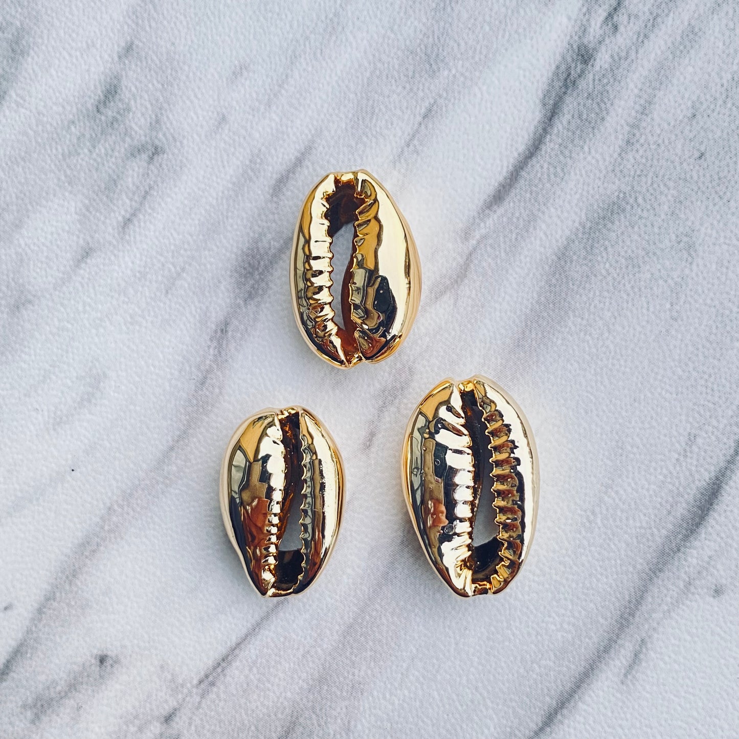 Cowrie Shells 🐚  | Charms